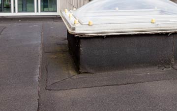 disadvantages of Radnor Park flat roofs